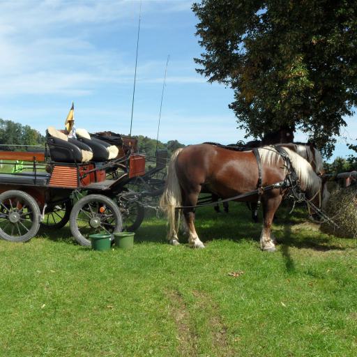 Tagestour: Auf den Spuren des Blauen Reiters